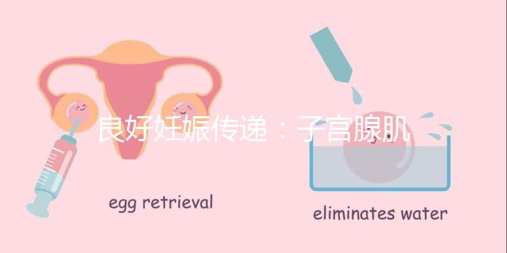 良好妊娠傳遞：子宮腺肌病，移植成功！