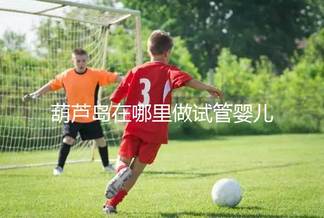 葫蘆島在哪里做試管嬰兒好？盛京和202醫(yī)院是熱門選擇