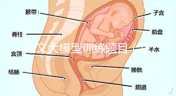 論文大模型訓(xùn)練題目(論文大模型訓(xùn)練題目怎么寫(xiě))