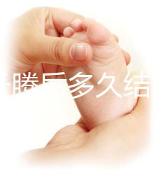 西瓜長(zhǎng)騰后多久結(jié)西瓜(西瓜多久長(zhǎng)藤)