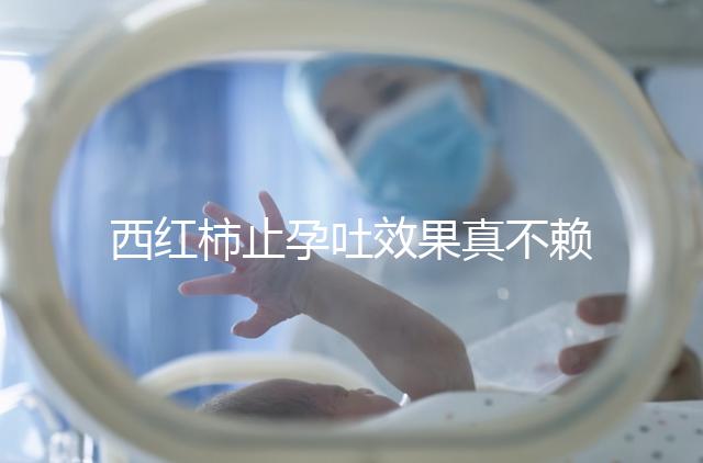 西紅柿止孕吐效果真不賴，選小的生吃或加雞蛋打湯都行