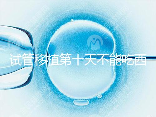 試管移植第十天不能吃西瓜!影響胚胎發(fā)育可不是玩笑話(huà)