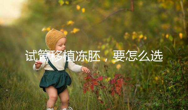 試管移植凍胚，要怎么選擇方案