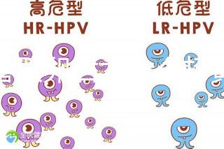 試管取卵后為什么打黃體酮？3大作用的目的都殊途同歸