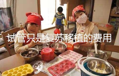 試管只是復(fù)蘇移植的費用并不高，看這就知道大概多少錢