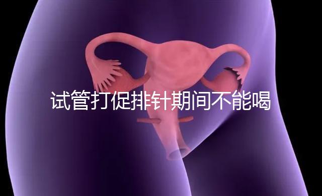 試管打促排針期間不能喝酵素減肥？把控好時間就行