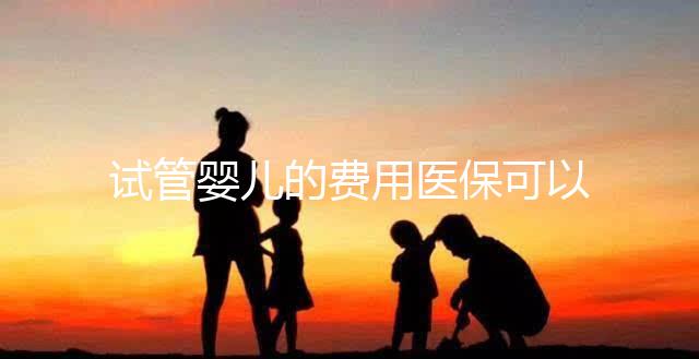 試管嬰兒的費用醫(yī)保可以報銷嗎(試管嬰兒的費用醫(yī)保可以報銷嗎多少錢)