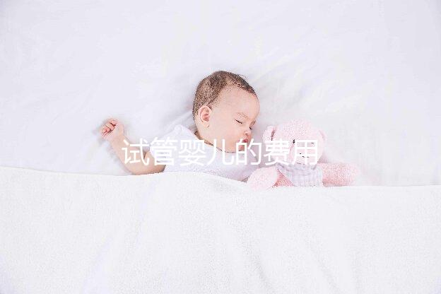 試管嬰兒的費用