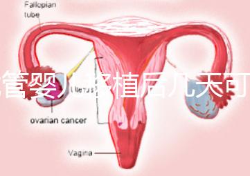 試管嬰兒移植后幾天可以測懷孕？