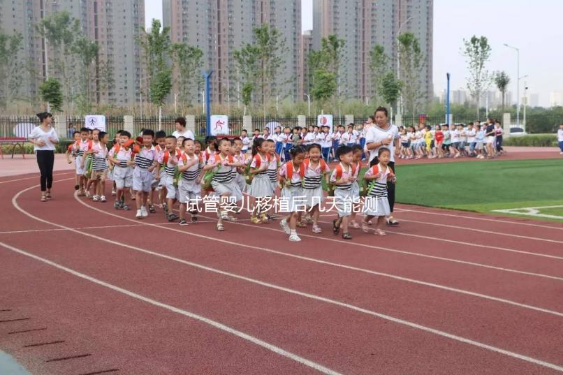 試管嬰兒移植后幾天能測出懷孕？