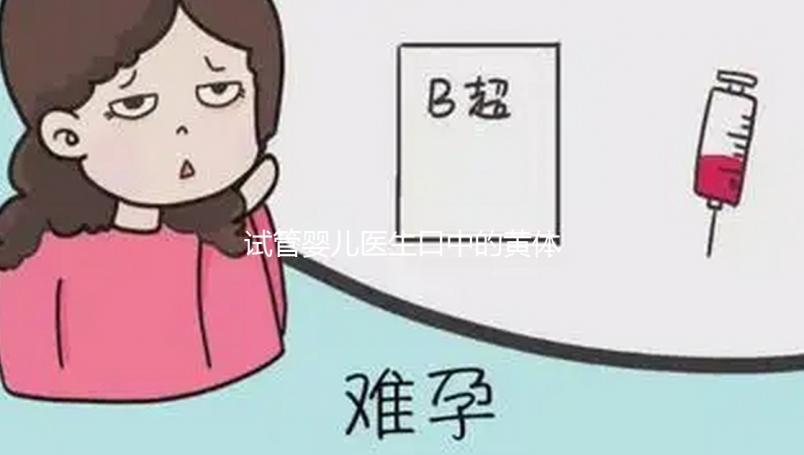試管嬰兒醫生口中的黃體功能不全到底為那般？