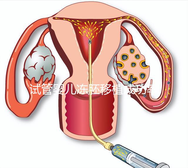試管嬰兒凍胚移植成功率更高？凍胚和鮮胚有何不同？