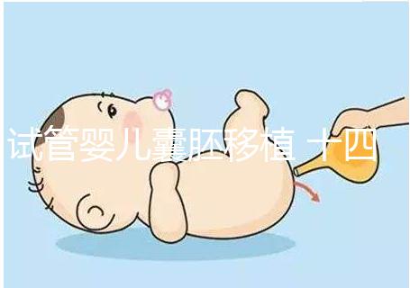 試管嬰兒囊胚移植 十四天血值變化解讀,附血值對照表可收藏