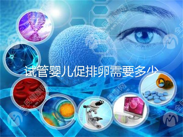 試管嬰兒促排卵需要多少錢-促排藥多少錢一個(gè)療程