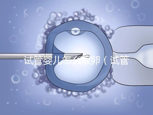 試管嬰兒怎么取卵(試管嬰兒怎么取卵過程視頻)