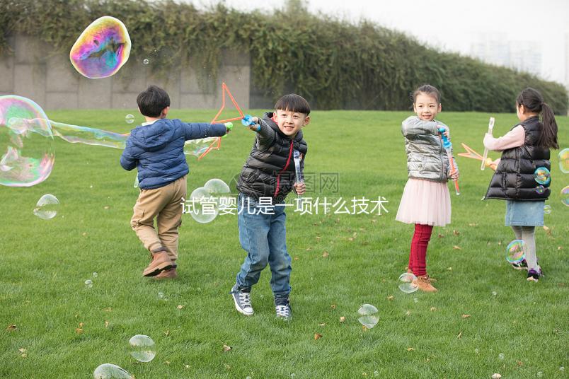 試管嬰兒是一項什么技術?