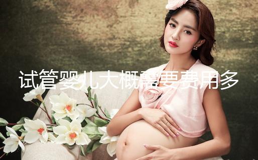 試管嬰兒大概需要費用多少？怎么確定花多少錢？