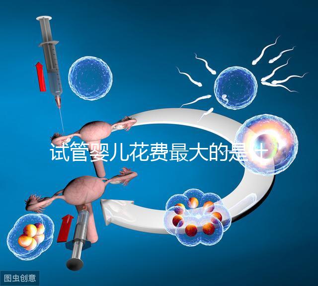 試管嬰兒花費(fèi)最大的是什么？