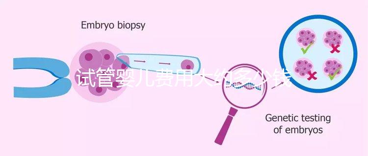 試管嬰兒費用大約多少錢？