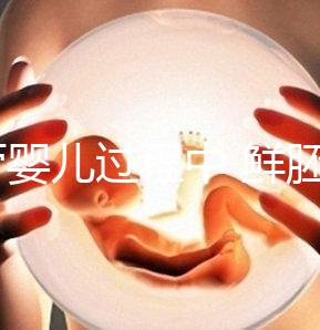 試管嬰兒過(guò)程中 鮮胚,凍胚和囊胚哪個(gè)成功率高