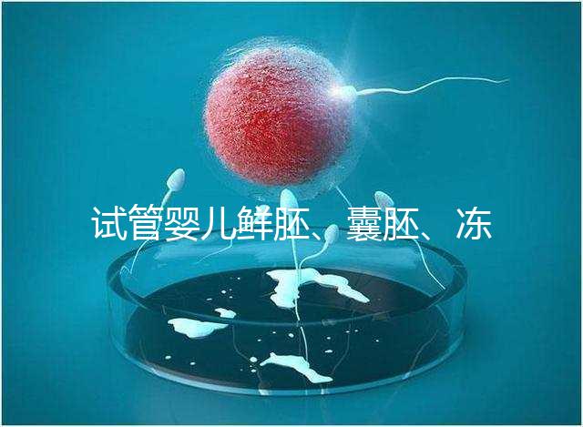 試管嬰兒鮮胚、囊胚、凍胚那個(gè)成功率高？
