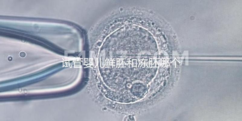 試管嬰兒鮮胚和凍胚哪個(gè)好（試管嬰兒鮮胚和凍胚哪個(gè)好一點(diǎn)）