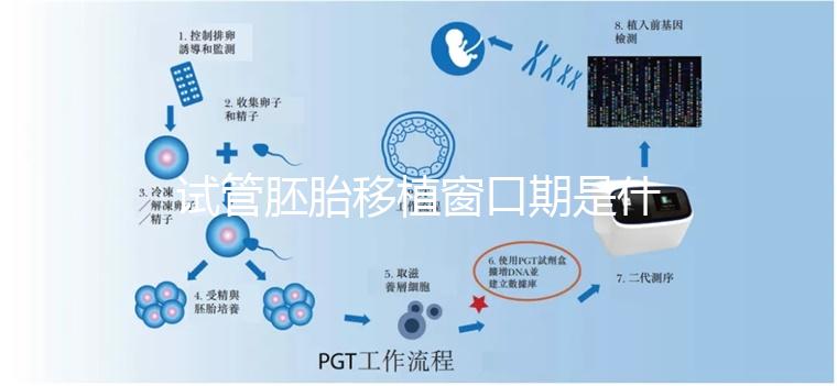 試管胚胎移植窗口期是什么？如何選對(duì)時(shí)機(jī)？