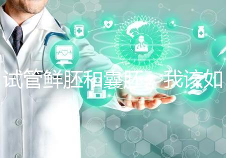 試管鮮胚和囊胚，我該如何選？
