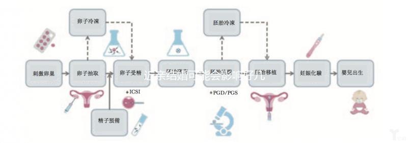 近親結(jié)婚可能會影響好幾代人，危害你真的承受不起！