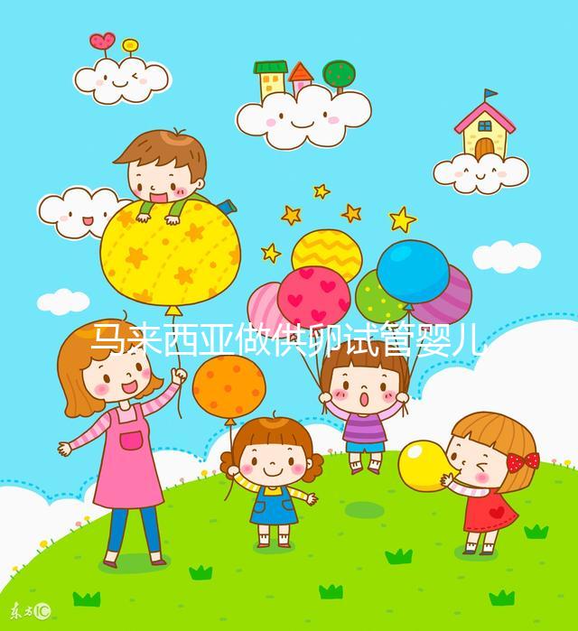 馬來西亞做供卵試管嬰兒，當地政府法律支持它的合法性么？