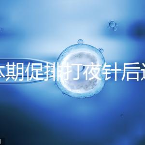 黃體期促排打夜針后還要吃地屈孕酮！服用后作用可真不少