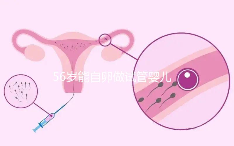 56歲能自卵做試管嬰兒嗎?“奶奶級媽媽”成功率真不高