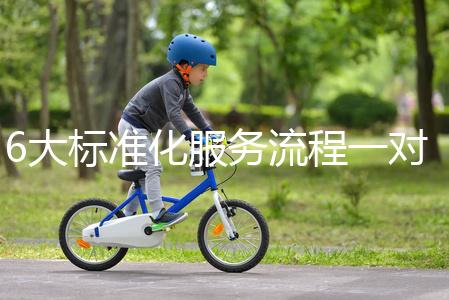 6大標準化服務流程一對一貼心服務，全程中文陪同