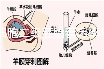 6細胞二級胚胎著床率與養囊成功率解讀，拿不準移植與否戳