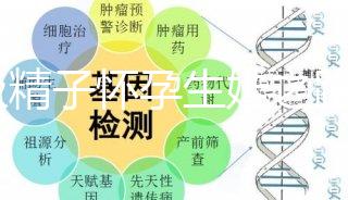 C級精子懷孕生娃之路不好走，試管或是唯一的選擇