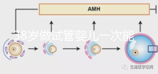 38歲做試管嬰兒一次能成功嗎？提前準備好這4點或許可以