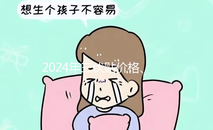 2024年三伏貼價格、品牌、單個療程費用大科普