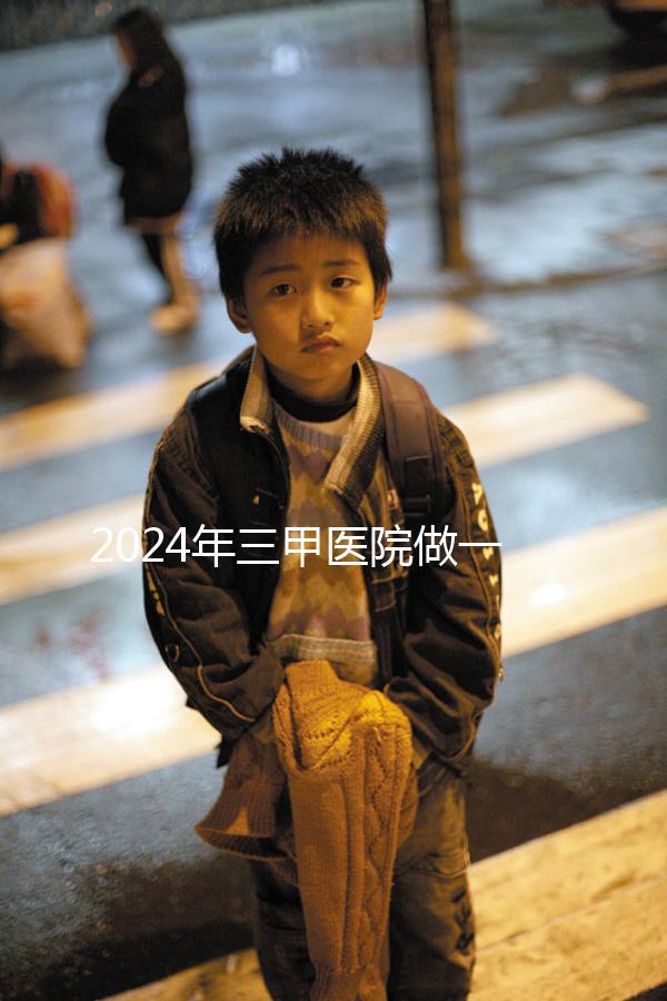 2024年三甲醫(yī)院做一次試管嬰兒需要多少錢？