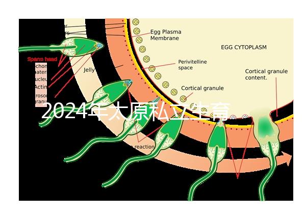 2024年太原私立生育醫院排名公開,上榜機構分娩條件好