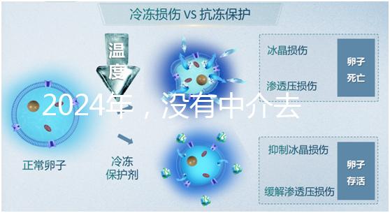 2024年，沒有中介去泰國做試管嬰兒？他們有必要這么說嗎？...