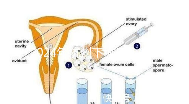 2024年杭州下城區小學生入學條件清單,資料不準備真的上不去