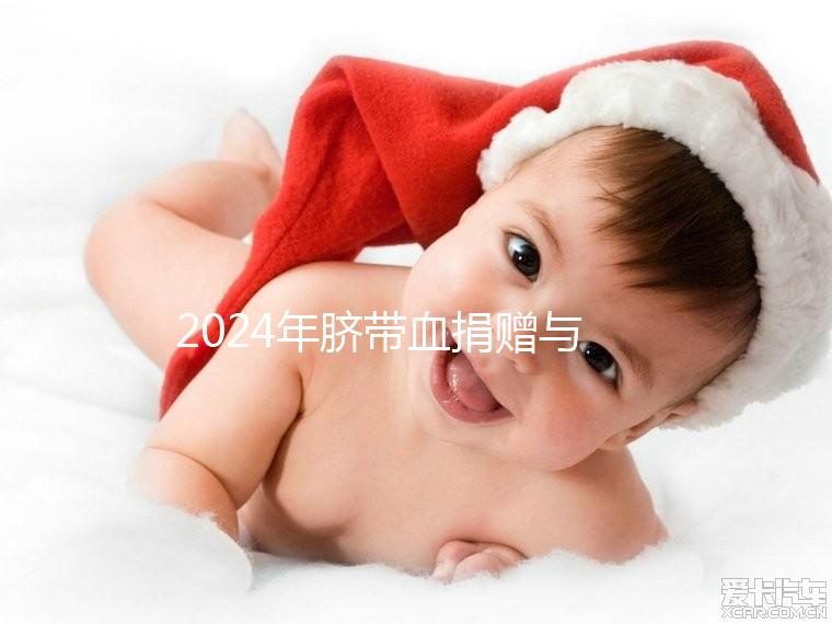 2024年臍帶血捐贈與自存的區別來襲，哪個是好的揭秘？