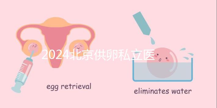 2024北京供卵私立醫(yī)院排行一覽,這三家機構竟在名單中