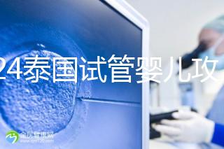 2024泰國試管嬰兒攻略索引:雙胞胎/雙胞胎，不能滿足要求