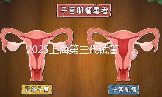 2025上海第三代試管嬰兒費(fèi)用明細(xì)表(每個(gè)項(xiàng)目價(jià)格真實(shí)公開)