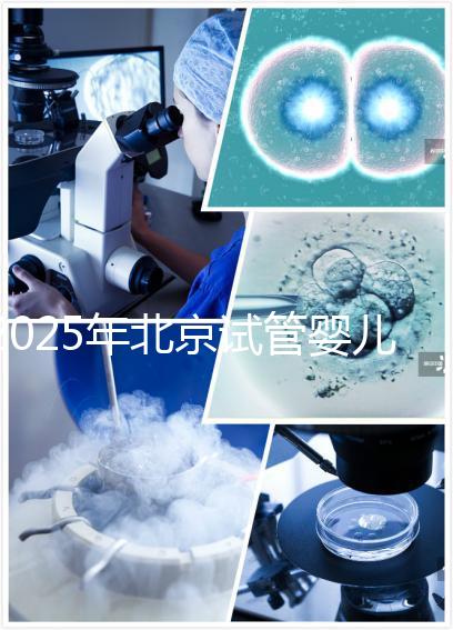 2025年北京試管嬰兒機(jī)構(gòu)哪家強(qiáng)?生育旅程如何開(kāi)啟?