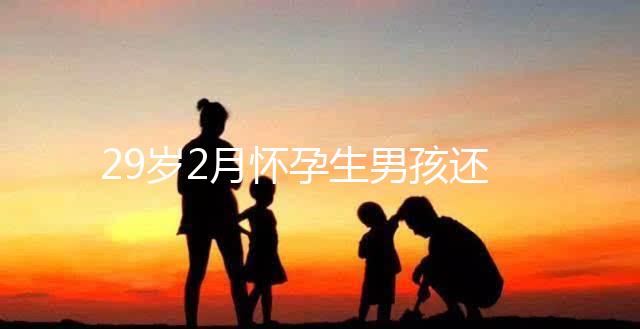 29歲2月懷孕生男孩還是女孩?清宮表2023帶你預(yù)測(cè)結(jié)果