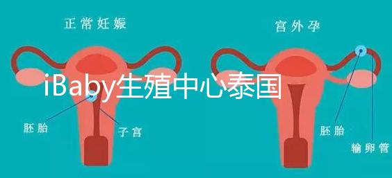 iBaby生殖中心泰國(guó)地理位置