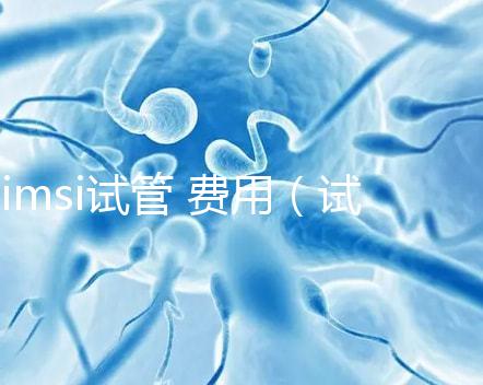 imsi試管 費用（試管imsi是什么意思）
