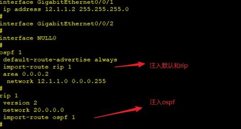 OSPF進(jìn)階篇 深入探索高級(jí)網(wǎng)絡(luò)技術(shù)